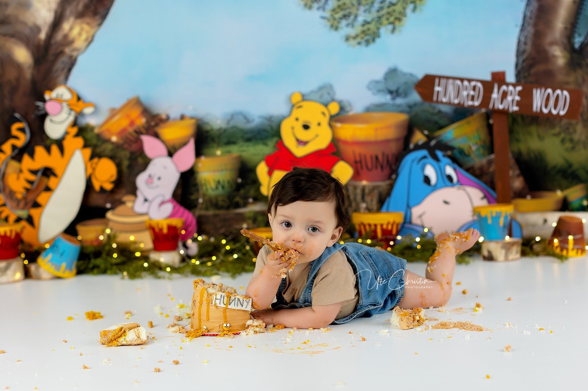 Neugeborenen-Fotohintergrund Niedlicher Fotohintergrund Honigbaum Eimer Fotohintergrund Kinder-Fotohintergrund MRR9-50