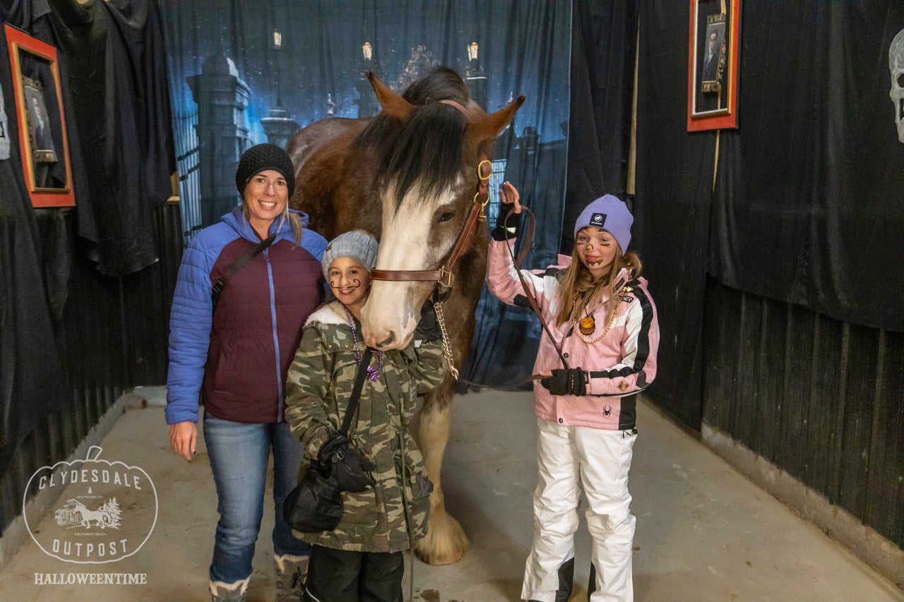 Halloween Alter gotischer Friedhof Photo Booth Hintergrund SH-1038