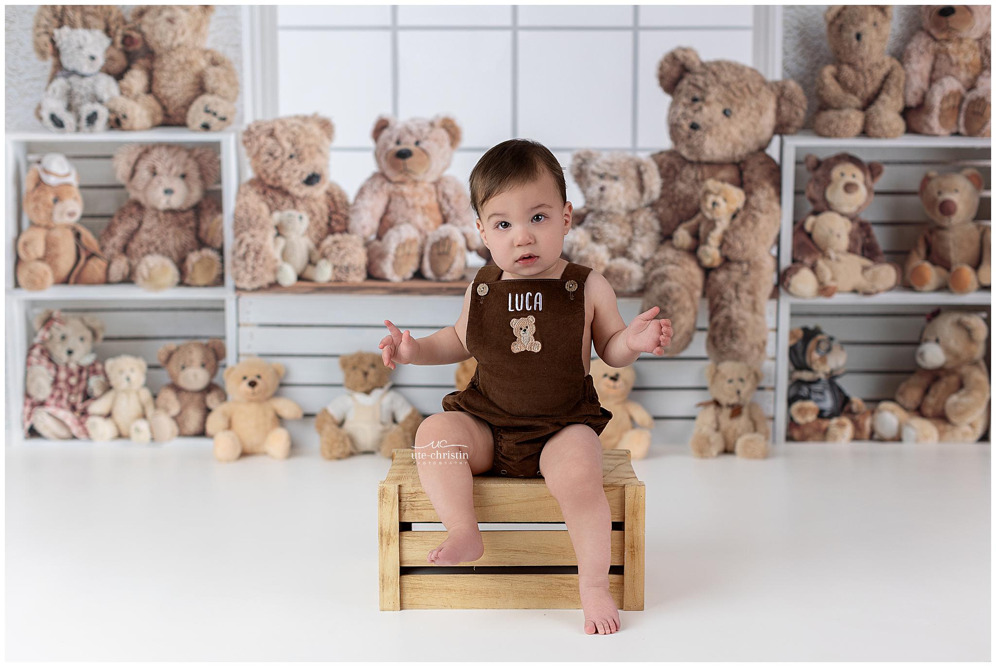 Kinderfotohintergrund Fensterbank Teddybären-Sammlung Kinderhintergründe MRR9-55