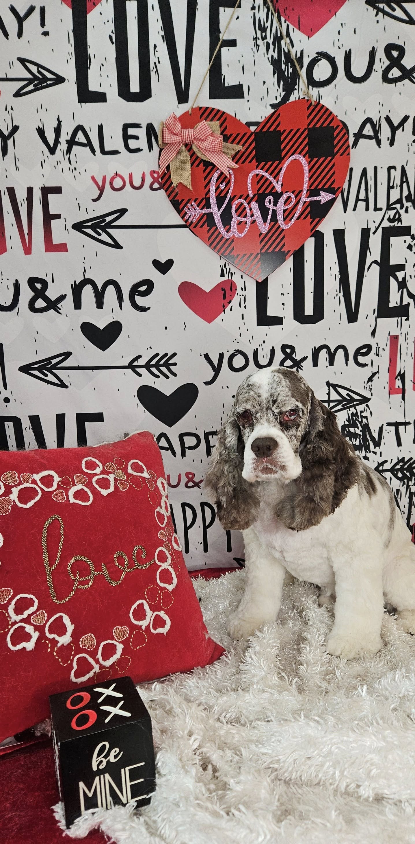 Valentinstag Amors Pfeil Romantischer Text Graffiti Wand Holzboden Hintergrund M12-19