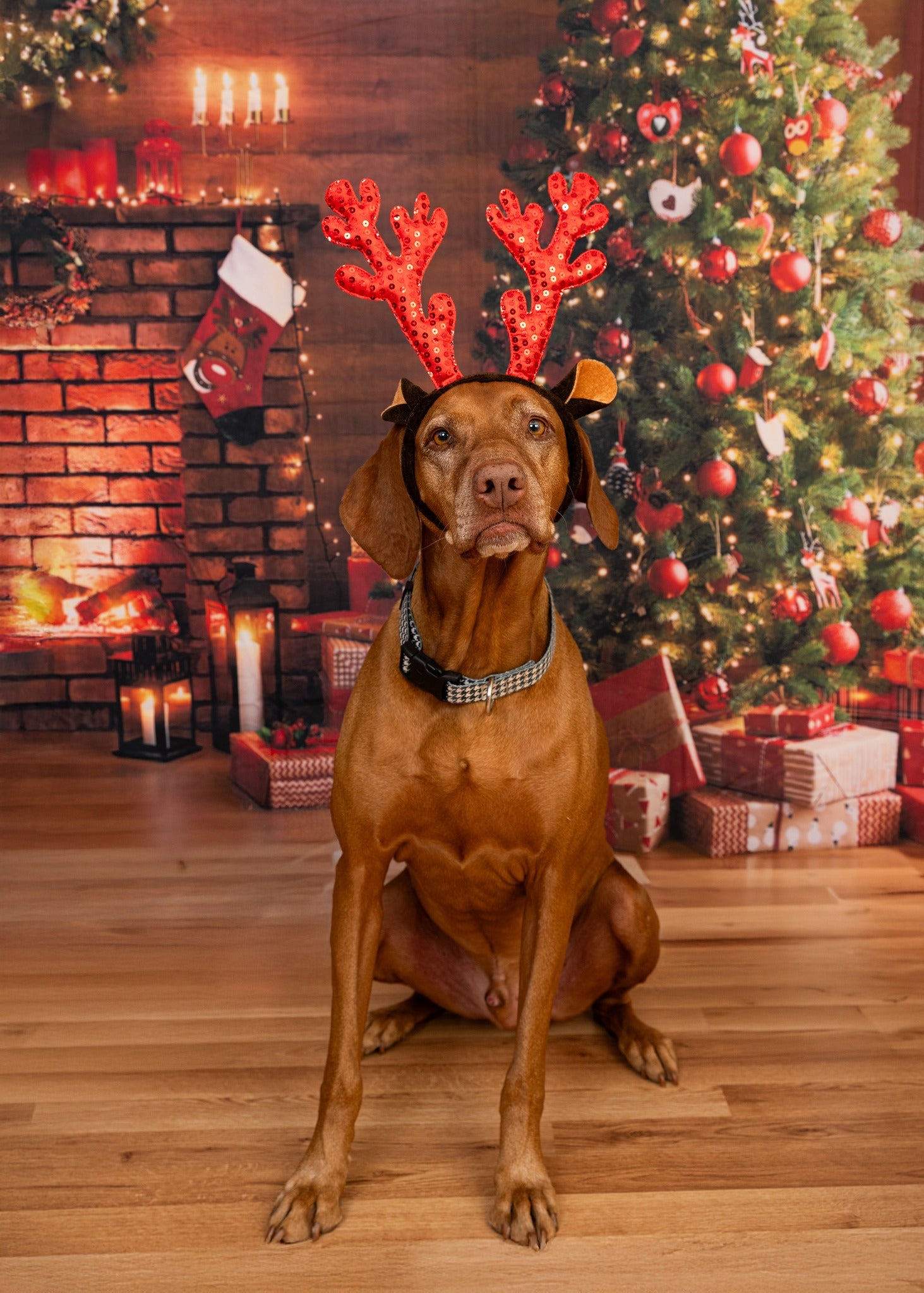 Weihnachten leuchtender Baum Kamin Geschenke Hintergrund M9-81