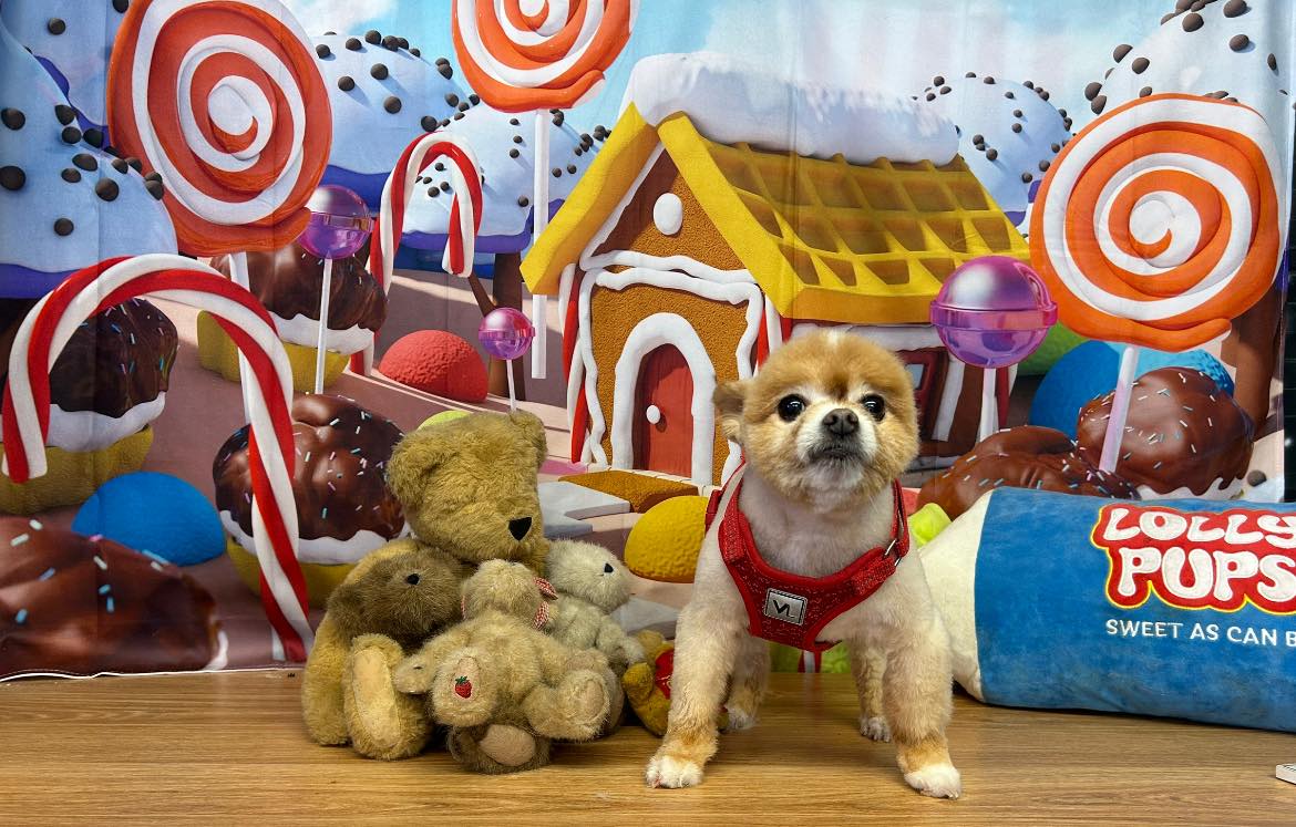 Candy Land Lebkuchenhaus Weihnachtshintergrund M7-10