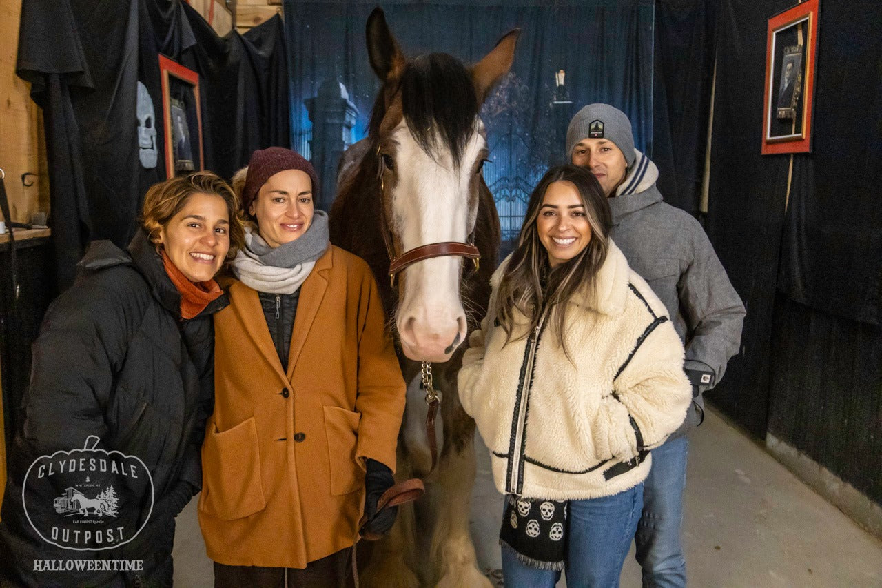 Halloween Alter gotischer Friedhof Photo Booth Hintergrund SH-1038