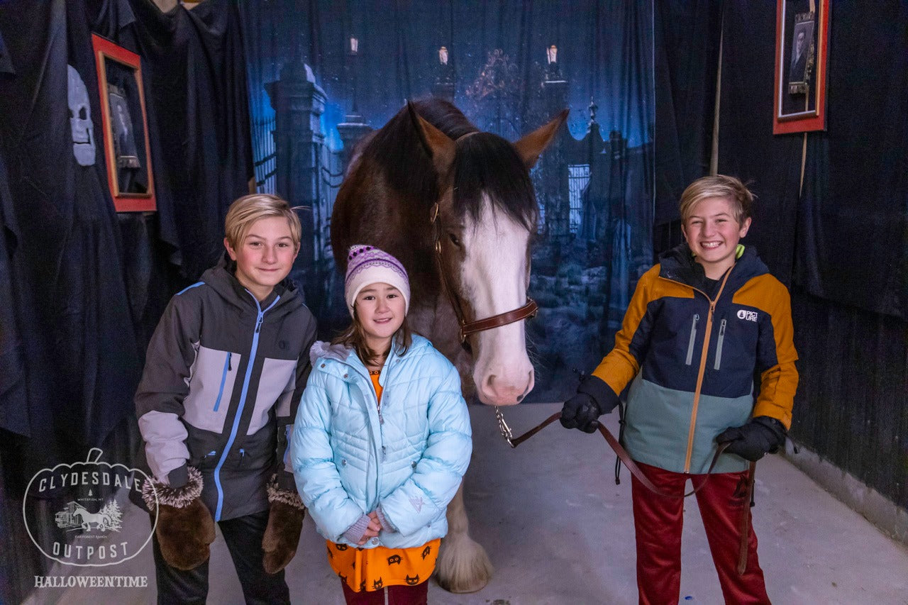 Halloween Alter gotischer Friedhof Photo Booth Hintergrund SH-1038