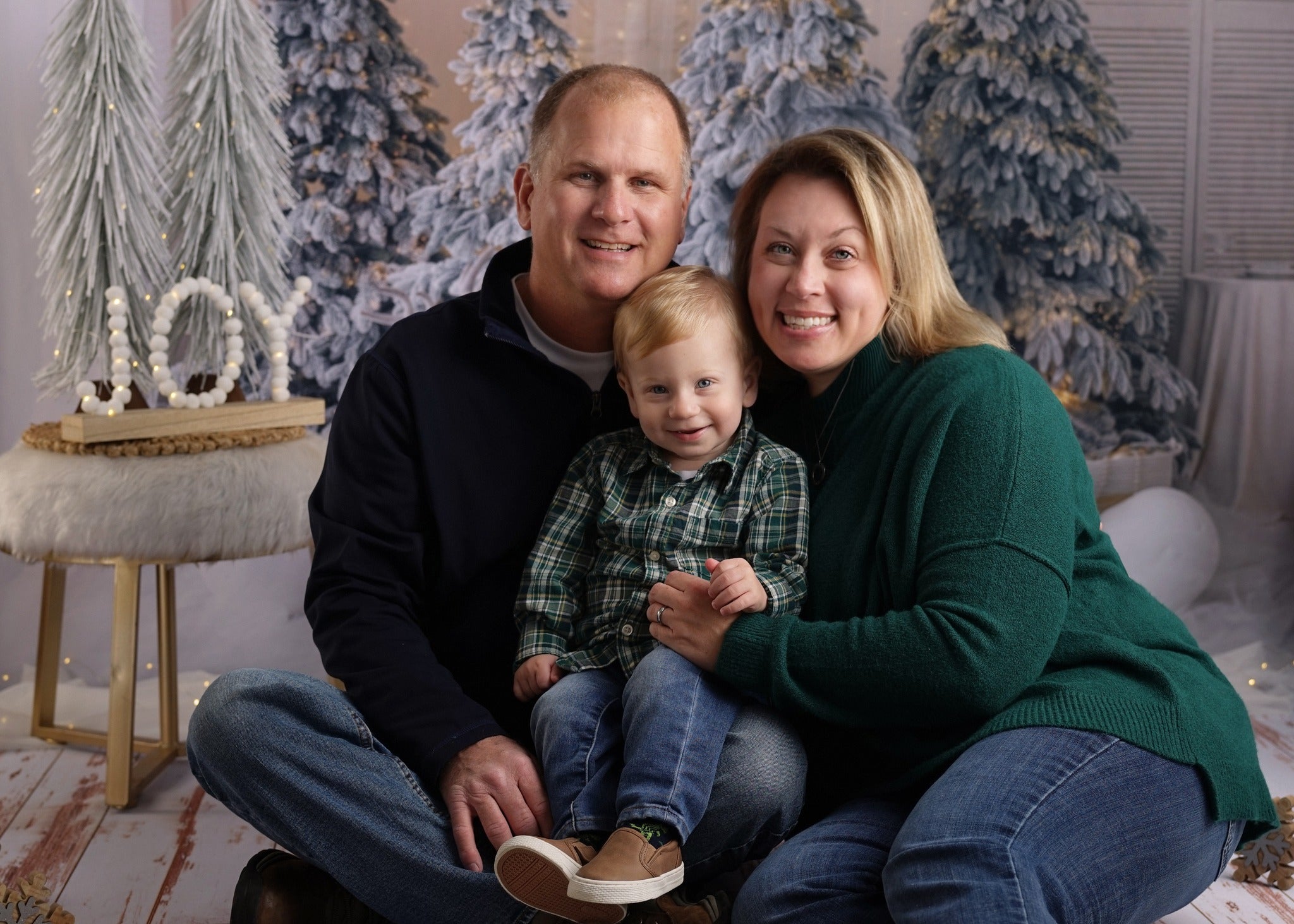 Weihnachtsbaum Elch Dekoration Fotografie Hintergrund M10-06