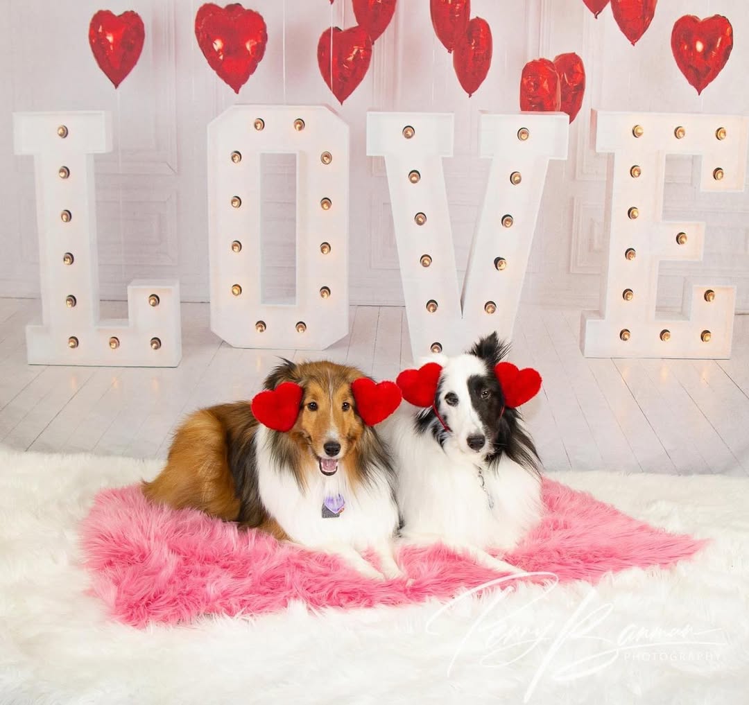 Valentinstag Rote Herzballons LOVE Hintergrund SH-856