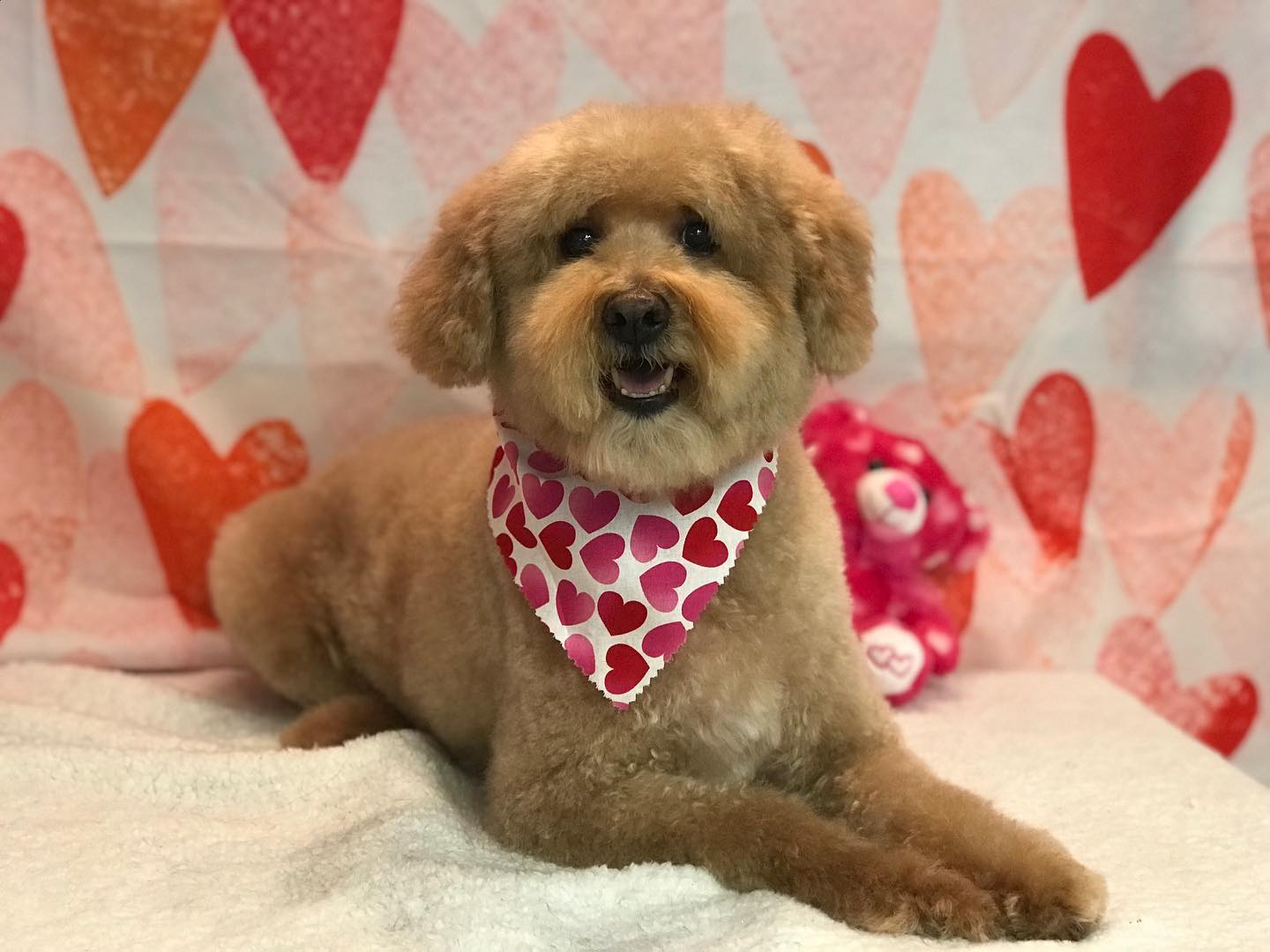 Aquarell Liebe Herz Valentinstag Fotografie Hintergrund SH-852