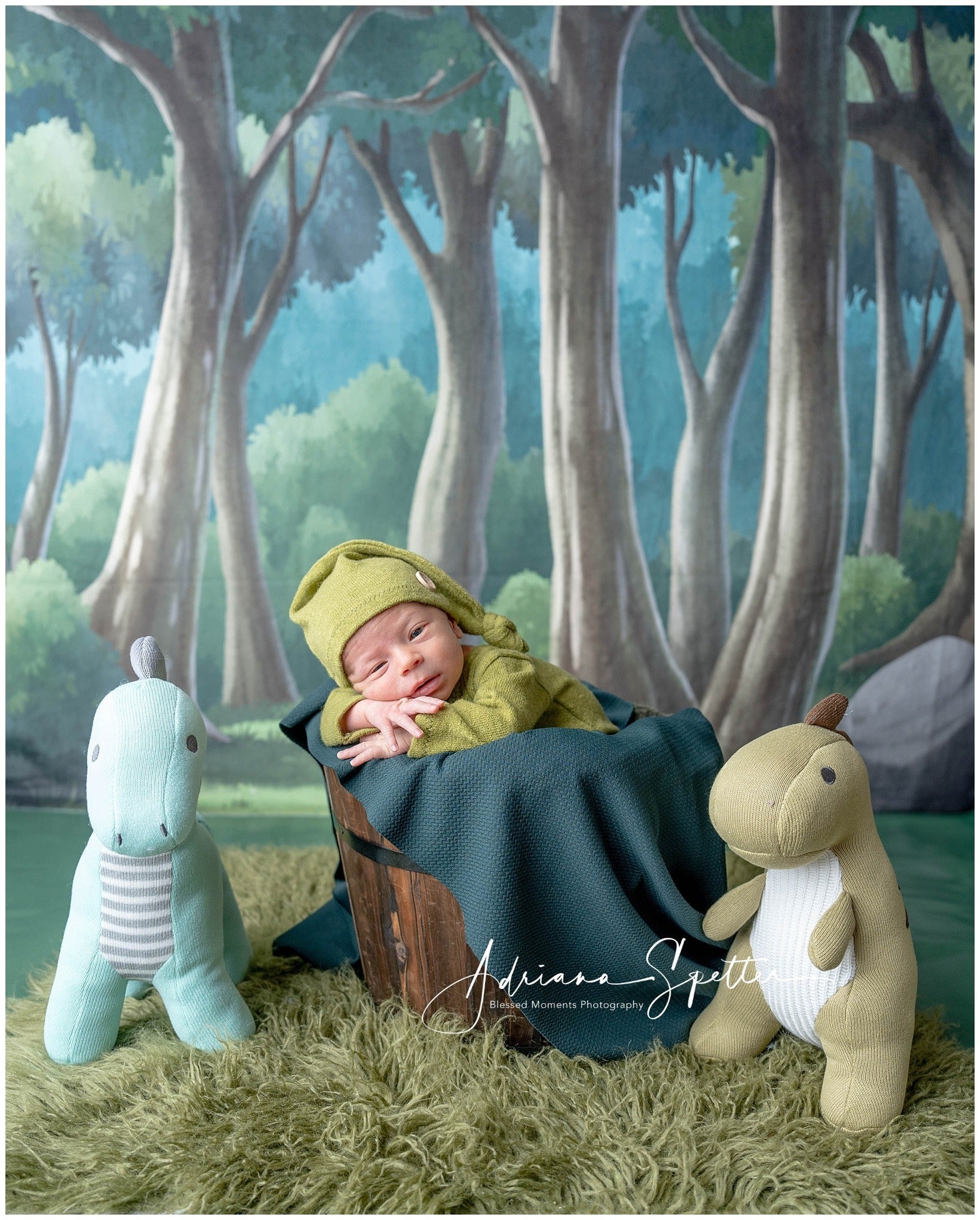Neugeborenen-Hintergrund Verzauberter Wald Bäume Kinder-Fotohintergrund MRR10-24