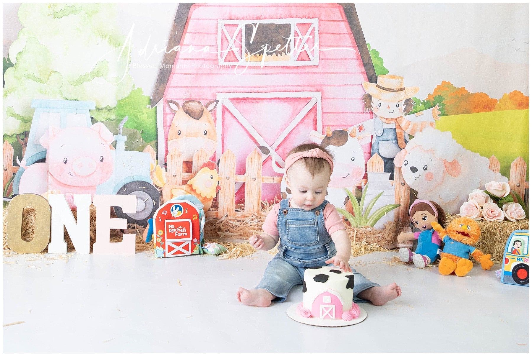 Kinderfotografie-Fotohintergrund Cartoon-Bauernhoftiere Scheune Neugeborenen-Fotohintergrund MRR9-125