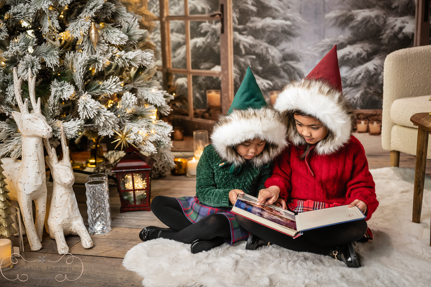 Winterwald-Fotohintergrund Offene Türen Verschneite Kiefern Winter-Fotohintergrund MRR9-97