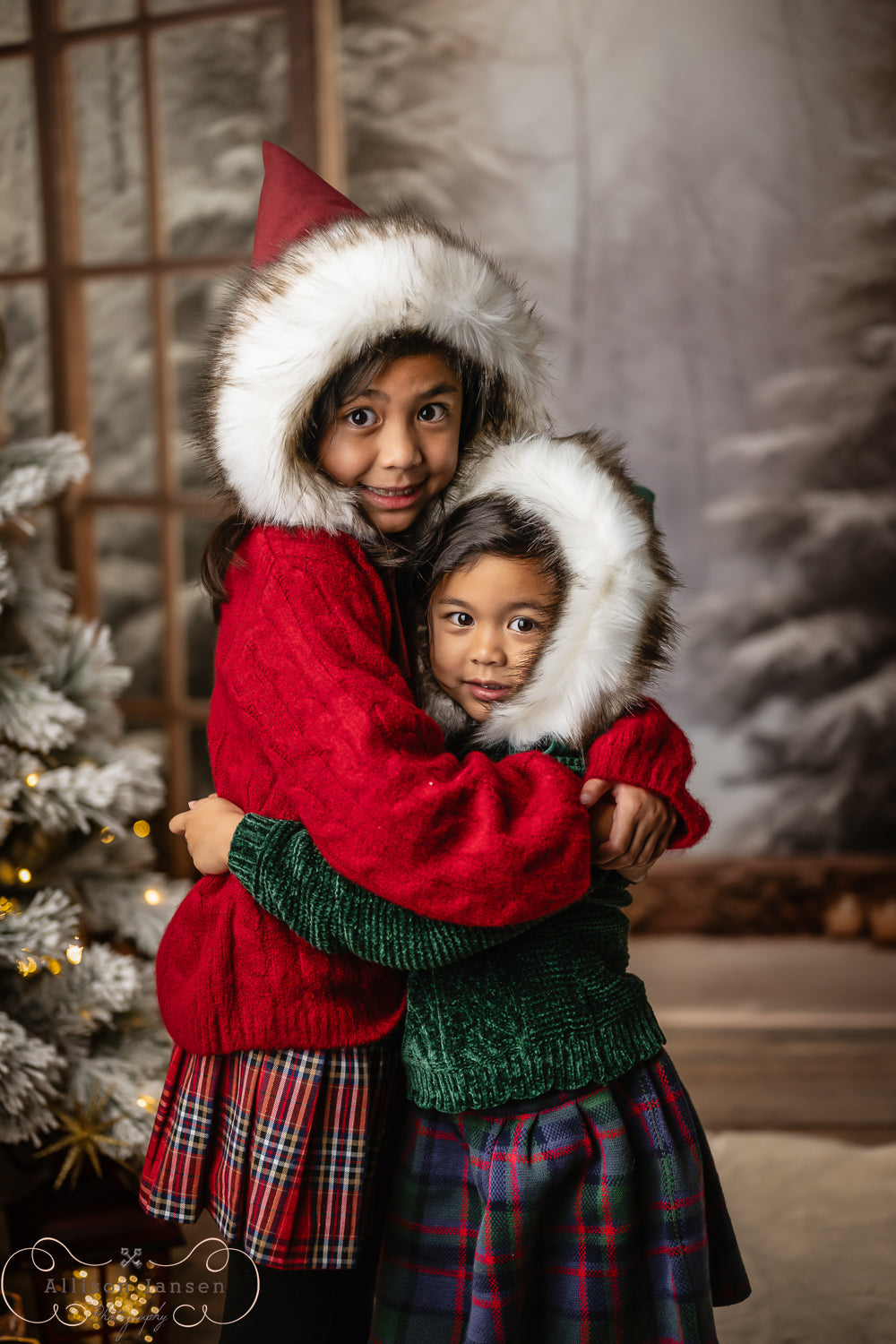 Winterwald-Fotohintergrund Offene Türen Verschneite Kiefern Winter-Fotohintergrund MRR9-97