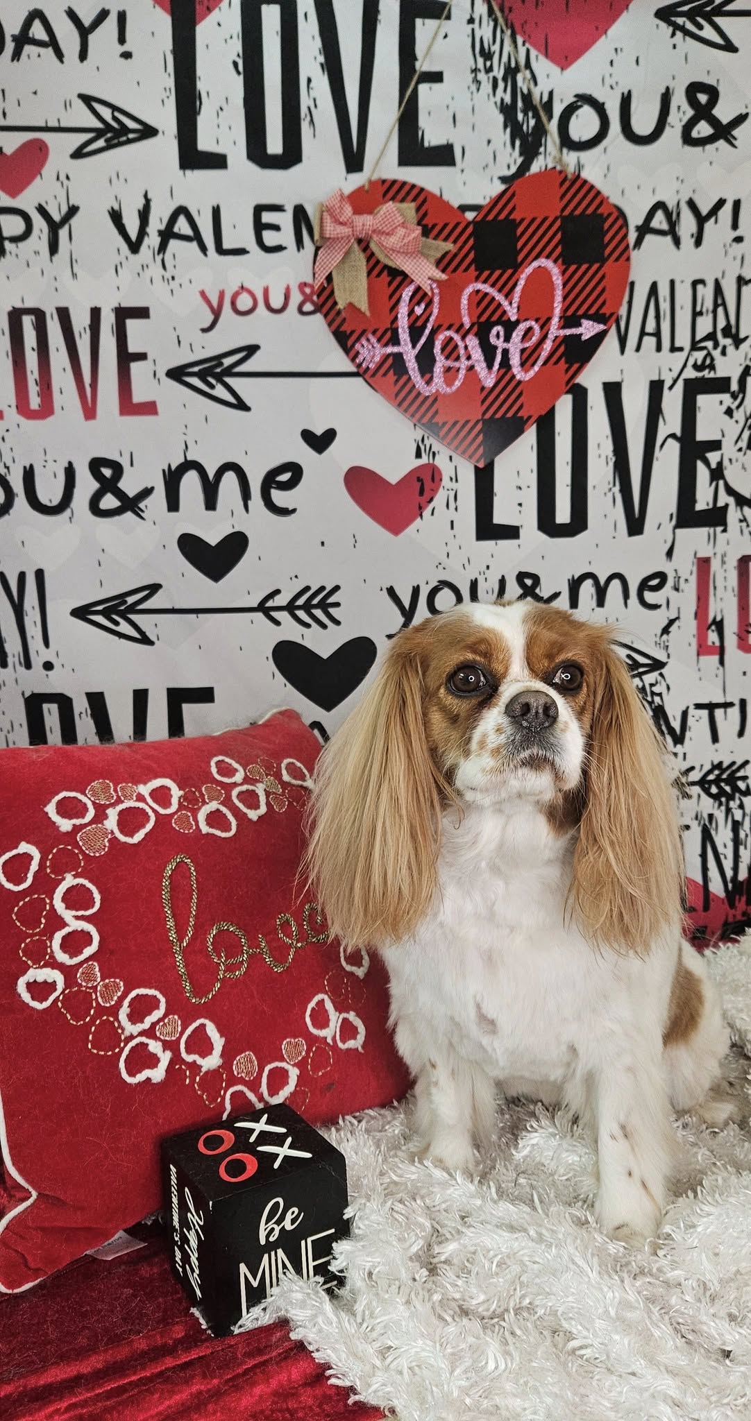 Valentinstag Amors Pfeil Romantischer Text Graffiti Wand Holzboden Hintergrund M12-19