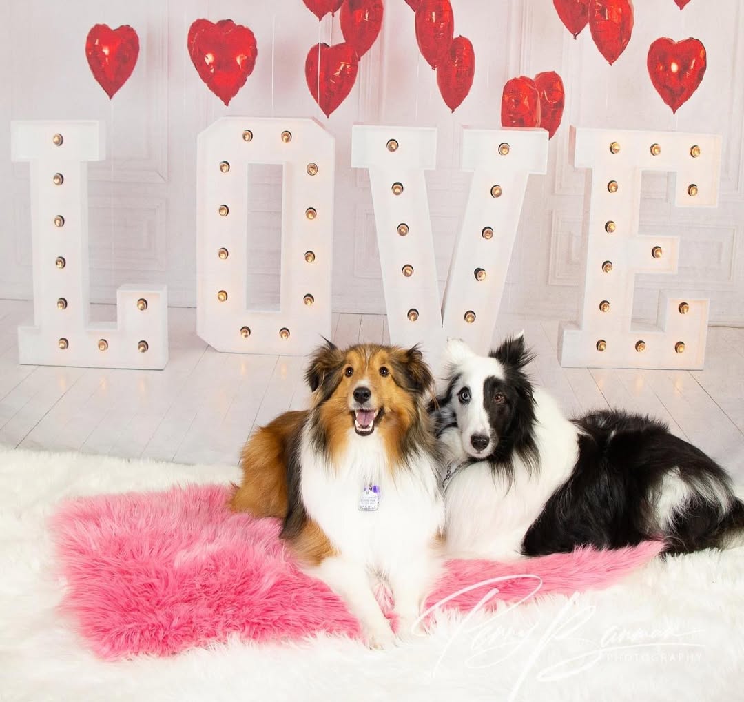Valentinstag Rote Herzballons LOVE Hintergrund SH-856