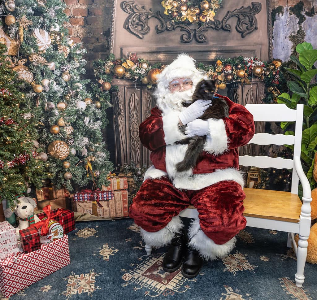 Weihnachtsbaum Geschenke Kamin Photo Booth Kulissen KAT-31