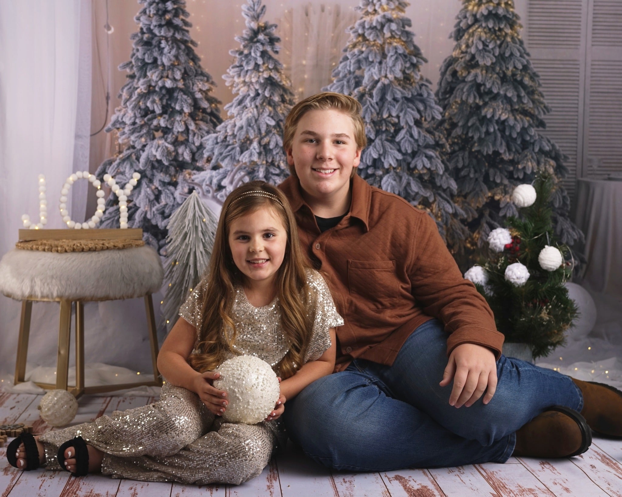 Weihnachtsbaum Elch Dekoration Fotografie Hintergrund M10-06