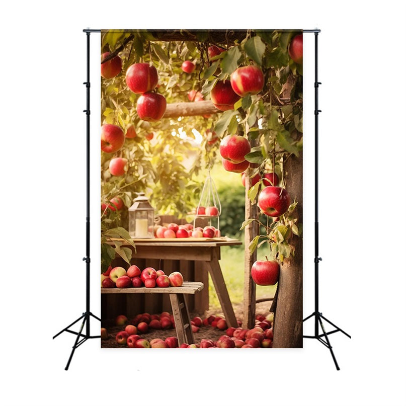 Herbst Ernte Hintergrund Obstgarten Äpfel Szene Hintergrund BRP10-267