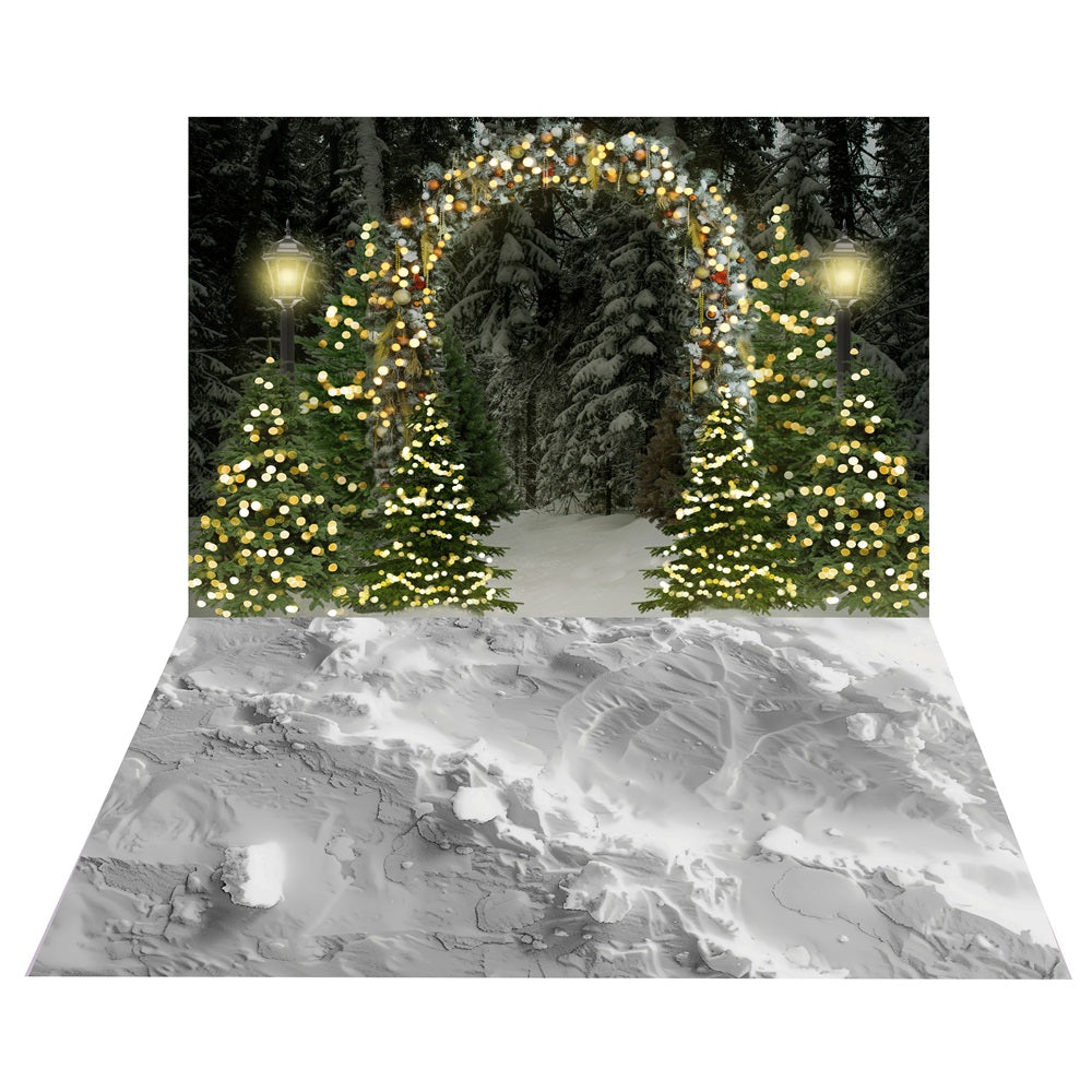 Verschneiter Lichtbogen-Wald-Hintergrund+Snow-Laden Path Floor Backdrop BRP10-459