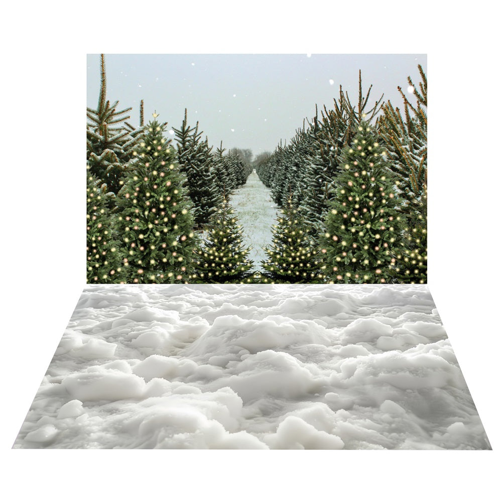 Winter Evergreen Waldweg Hintergrund+Schneeschicht Boden Hintergrund BRP10-467