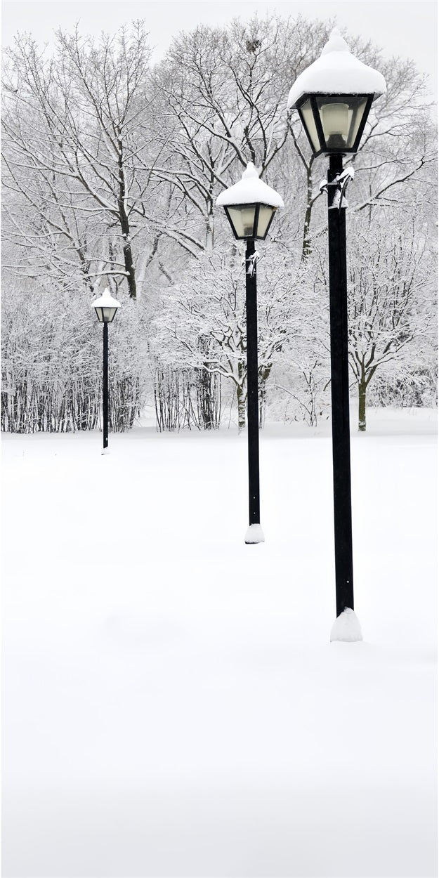 Winter Snowy Sweep Straßenlaternen-Szene Hintergrund BRP10-519