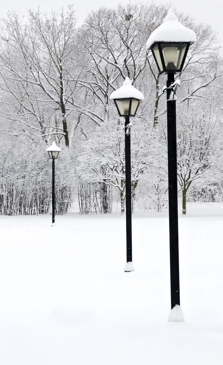 Winter Snowy Sweep Straßenlaternen-Szene Hintergrund BRP10-519