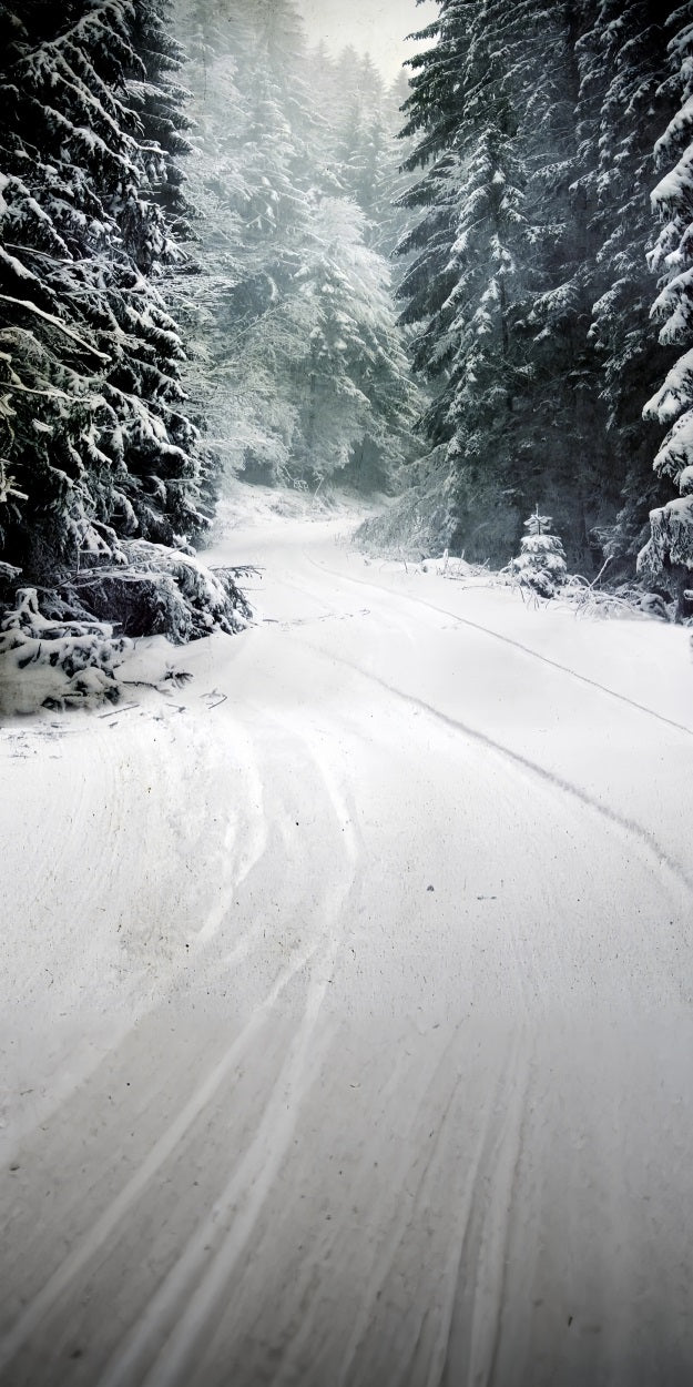 Winter Wald Sweep Serene Schnee Pfad Hintergrund BRP10-520