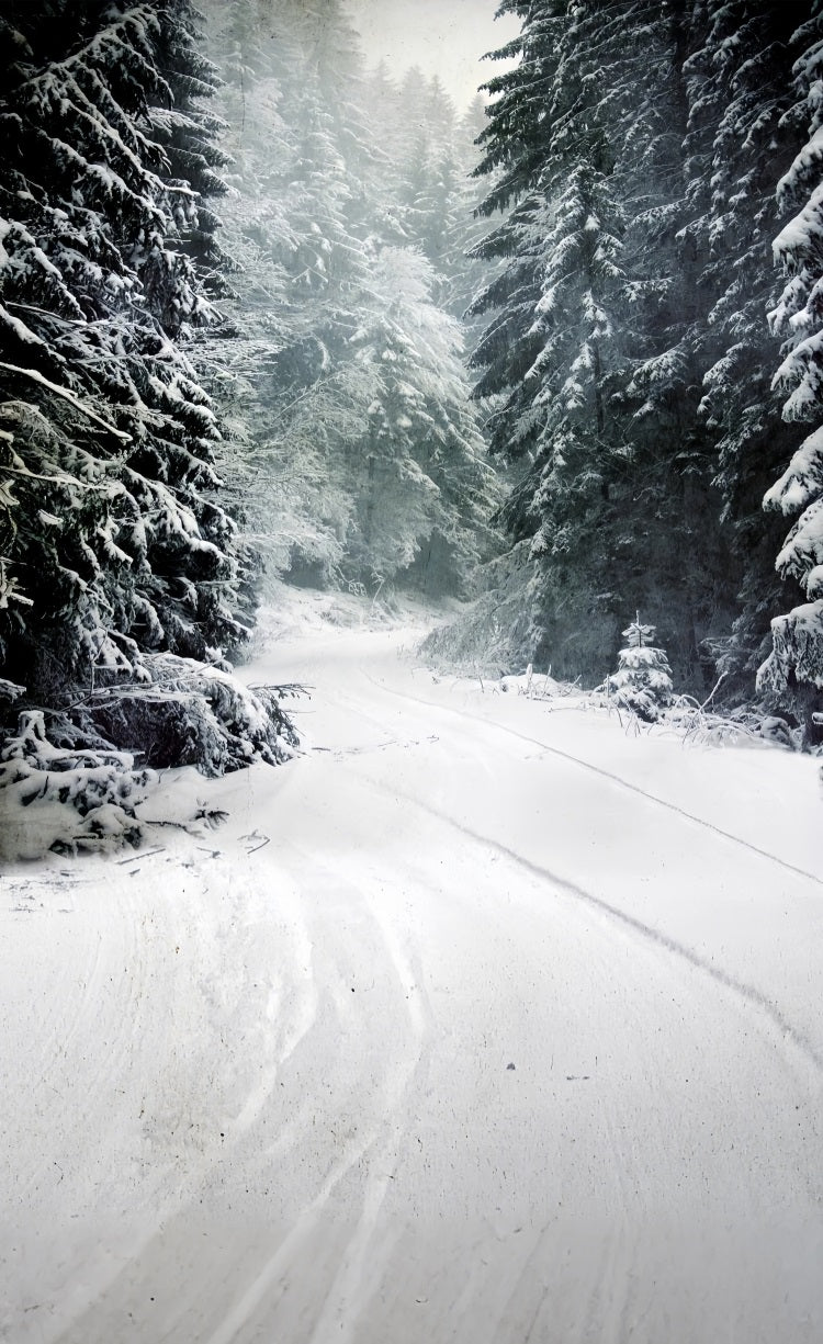 Winter Wald Sweep Serene Schnee Pfad Hintergrund BRP10-520