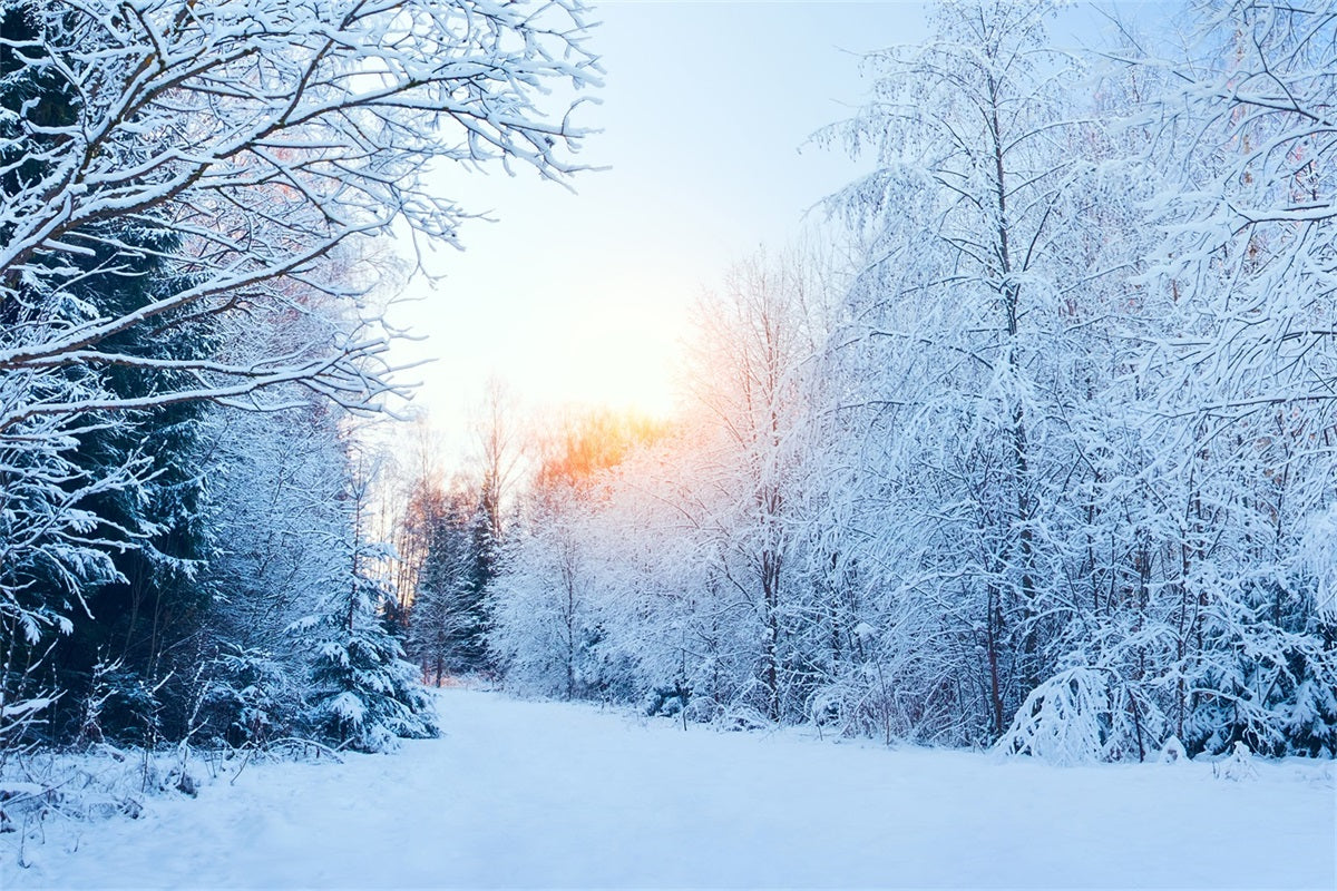 Winter Wonderland  Verschneite Landschaft Sonnenlicht Hintergrund BRP11-1