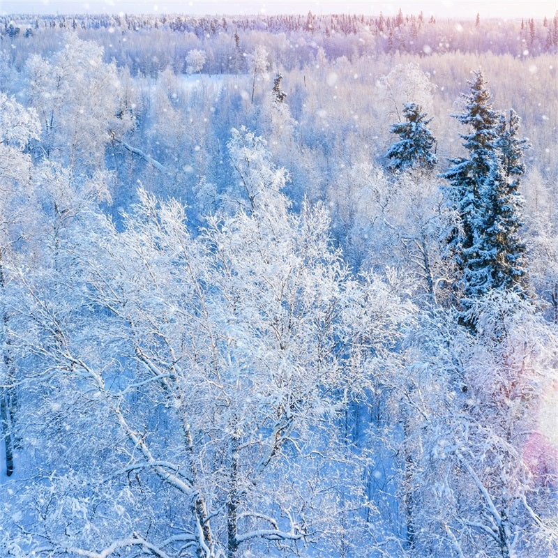 Winter Hintergrund Fotografie Glitzernde Schneefall Hintergrund BRP11-12