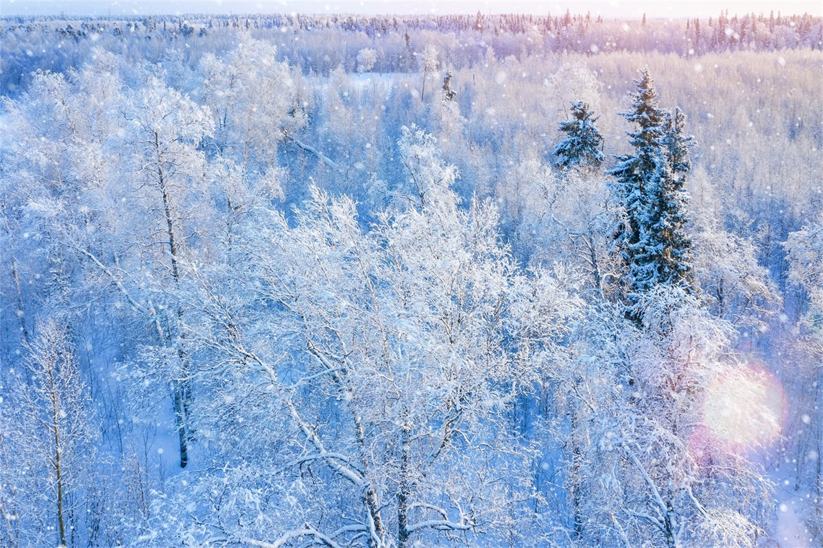 Winter Hintergrund Fotografie Glitzernde Schneefall Hintergrund BRP11-12