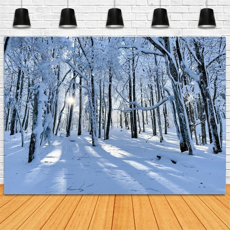 Winter Hintergrund For Sale Snowy Woods Gentle Light Hintergrund BRP11-13