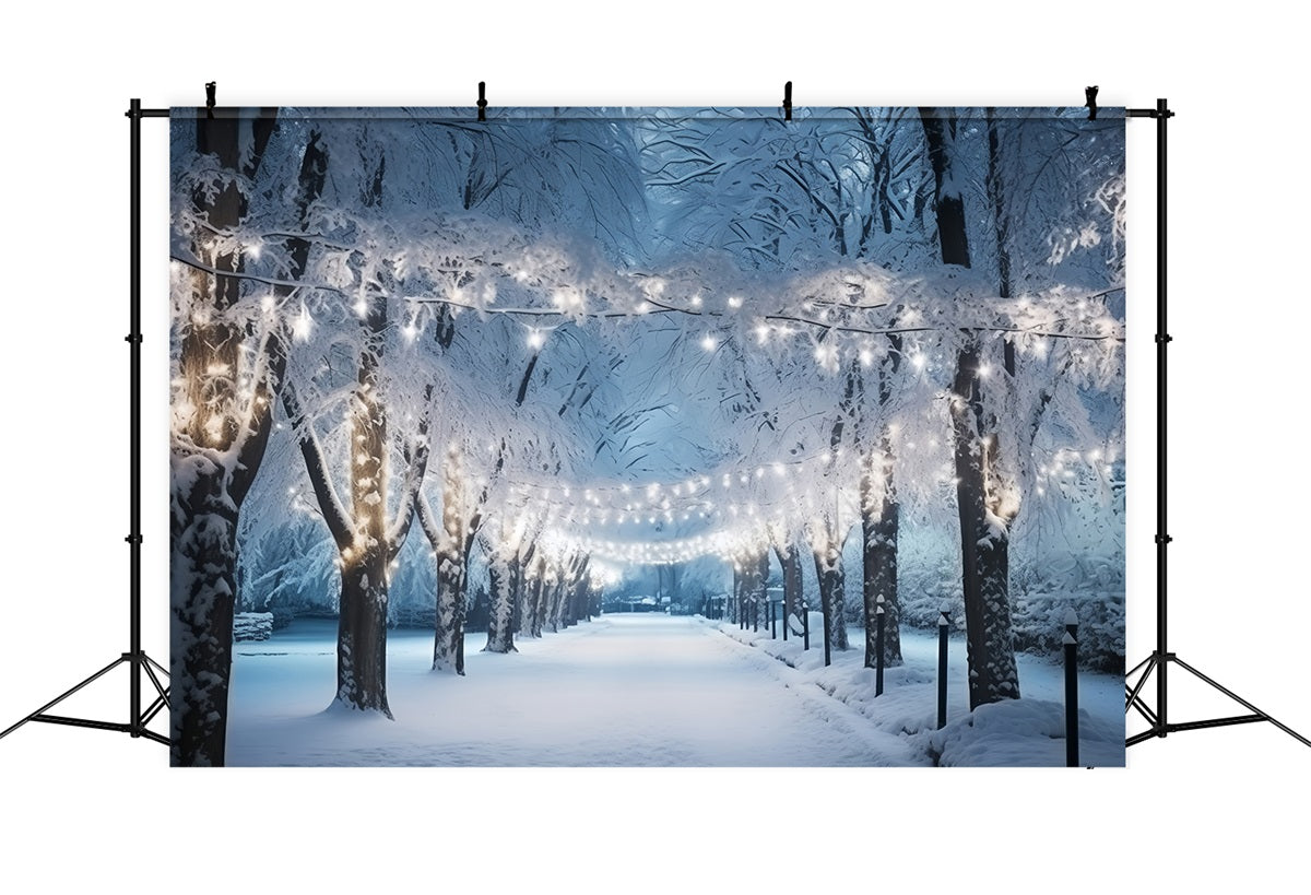 Winter Wonderland Verschneiter Pfad Beleuchtete Lichter Hintergrund BRP11-15