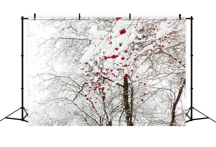 Winter Hintergrund Fotos Lebendige Rote Beeren Schnee Hintergrund BRP11-20