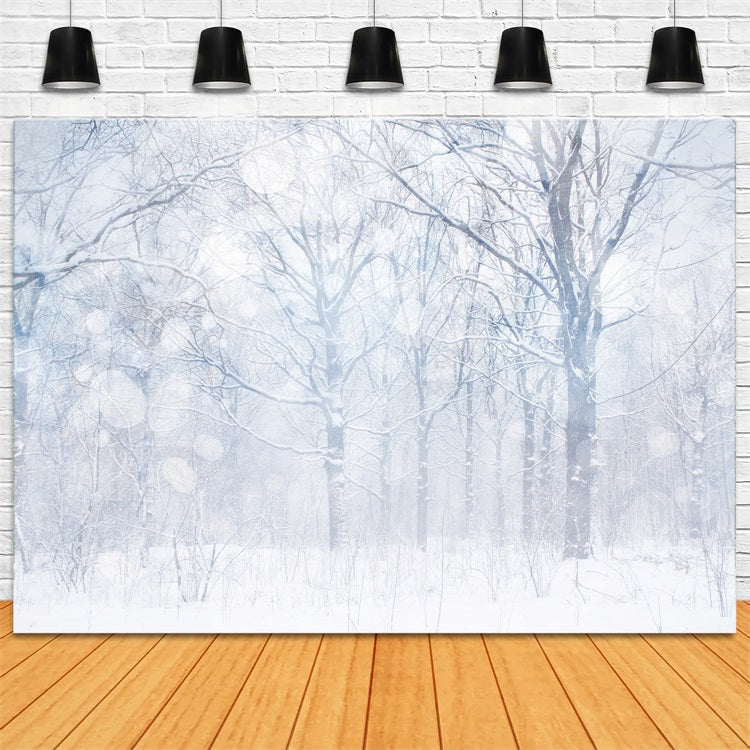 Fotohintergrund Winter Silbrig Weiß Frosted Grove Hintergrund BRP11-21