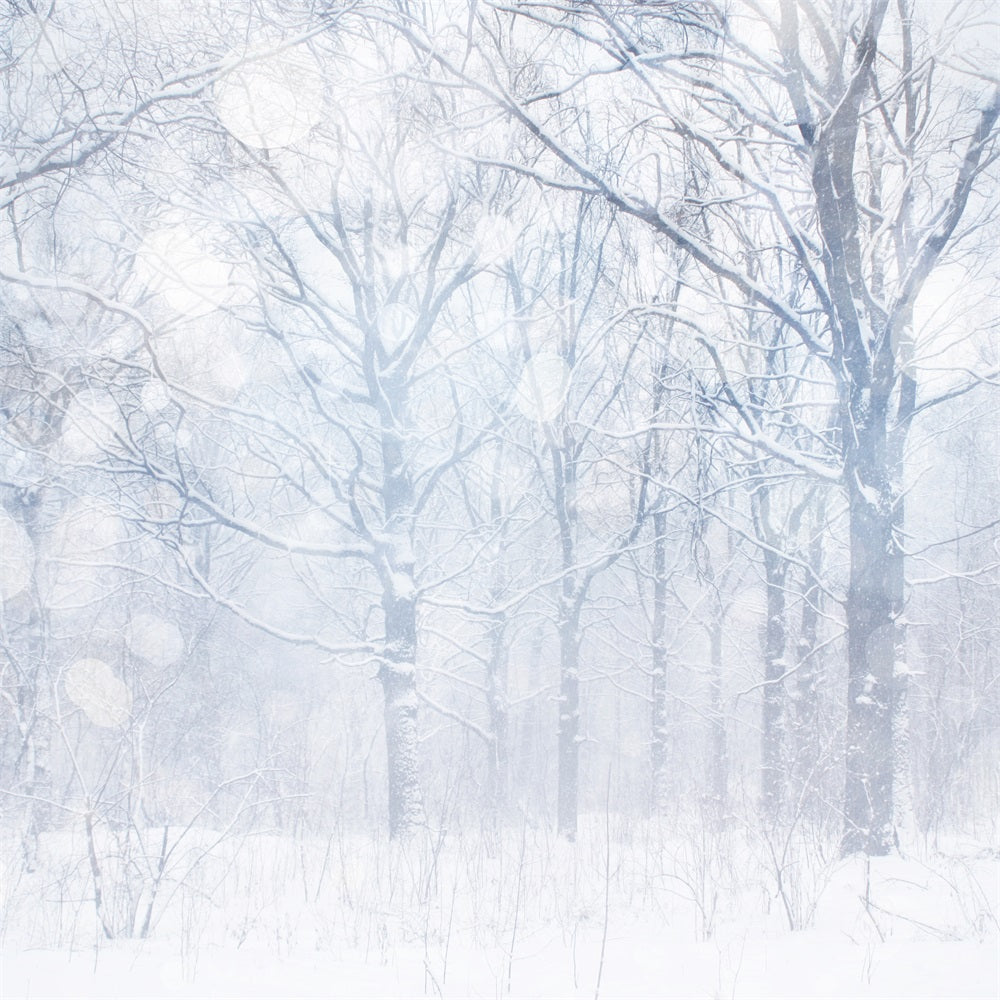 Fotohintergrund Winter Silbrig Weiß Frosted Grove Hintergrund BRP11-21