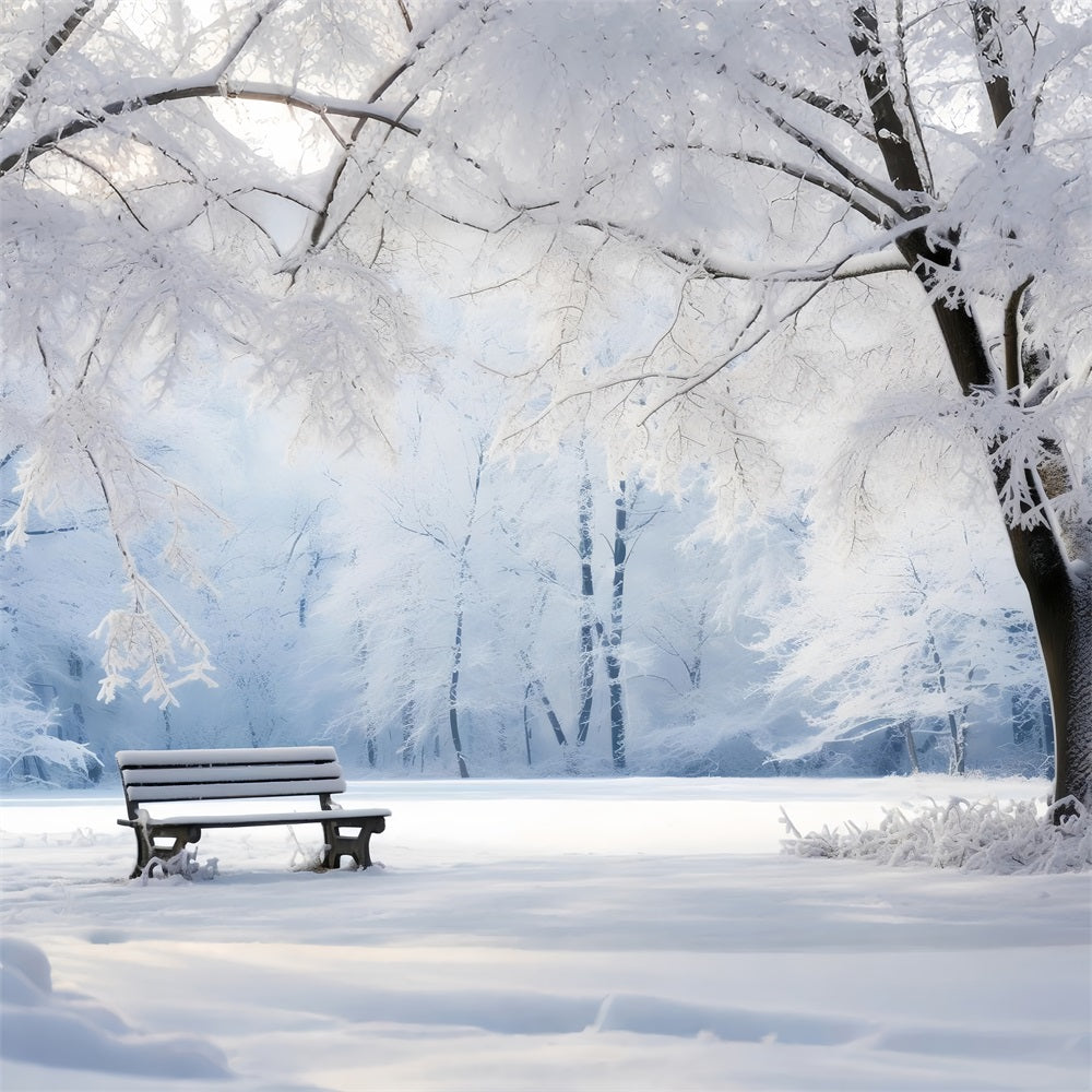 Winter Serene Hintergrund Schneebedeckte Parkbank Hintergrund BRP11-22