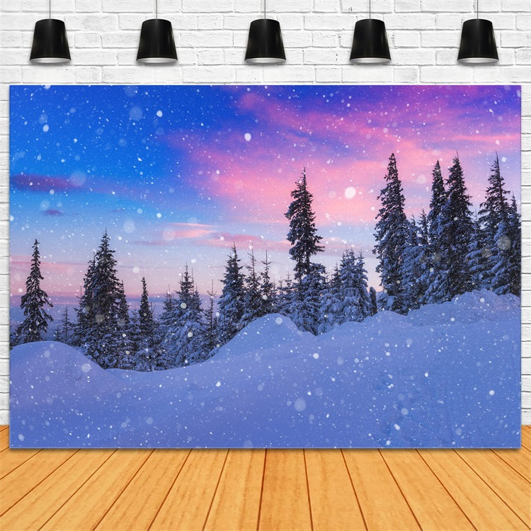 Winter Snow Hintergrund Beautiful Sky Frosted Evergreens Hintergrund BRP11-25