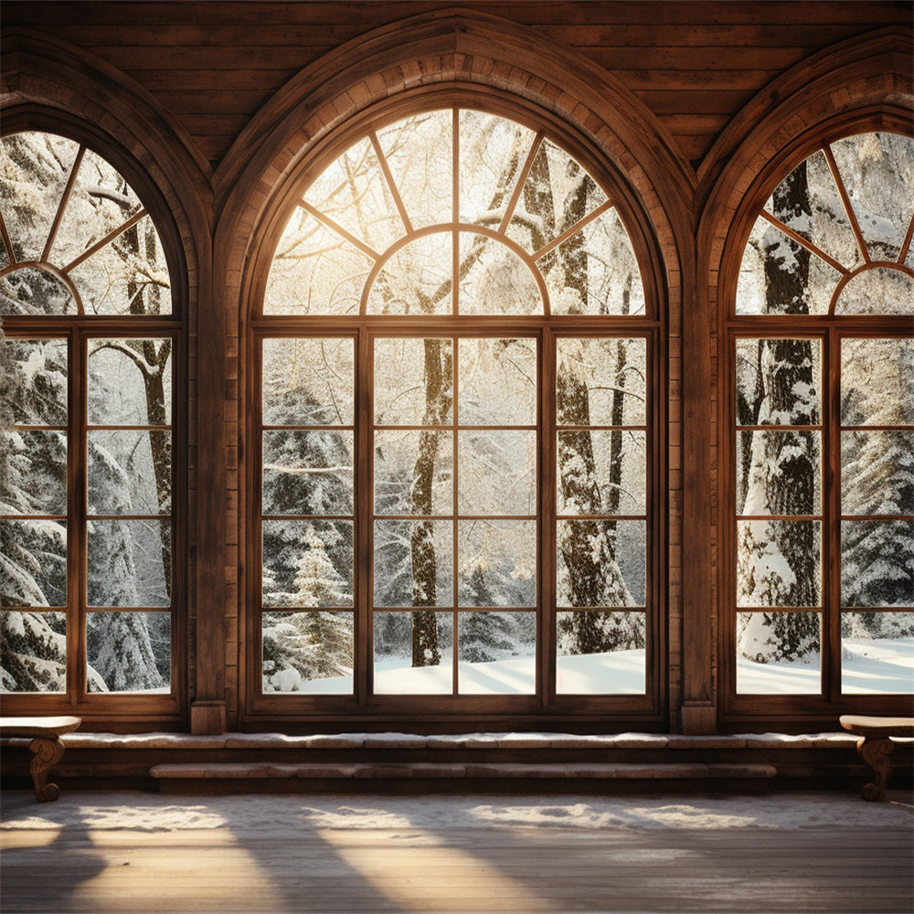 Winter Szenen sonnenbeschienenen hölzernen gewölbten Fenster Hintergrund BRP11-271