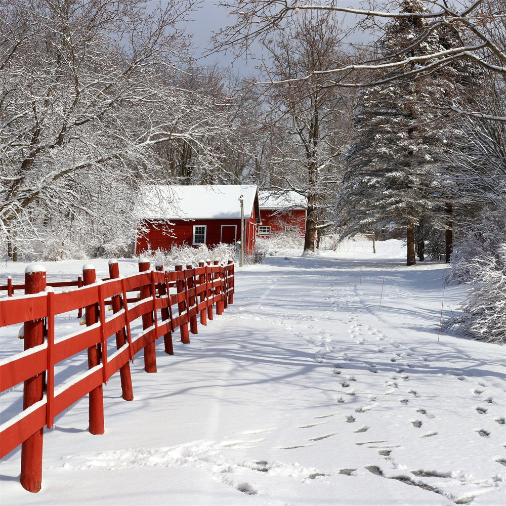 Winter Hintergrund Rustikale Rote Scheune Wunderland Hintergrund BRP11-29