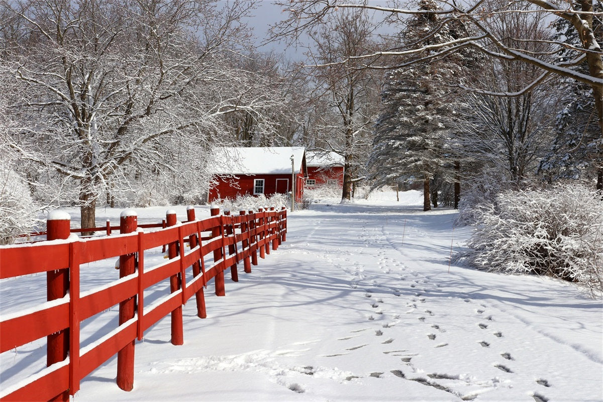 Winter Hintergrund Rustikale Rote Scheune Wunderland Hintergrund BRP11-29