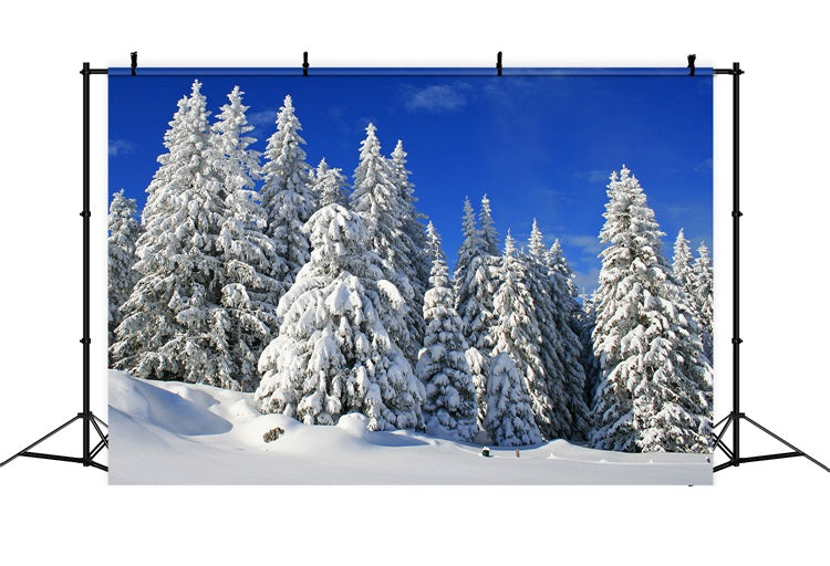 Winter Fotokulisse Vereiste Bäume Lebendiger Himmel Hintergrund BRP11-3