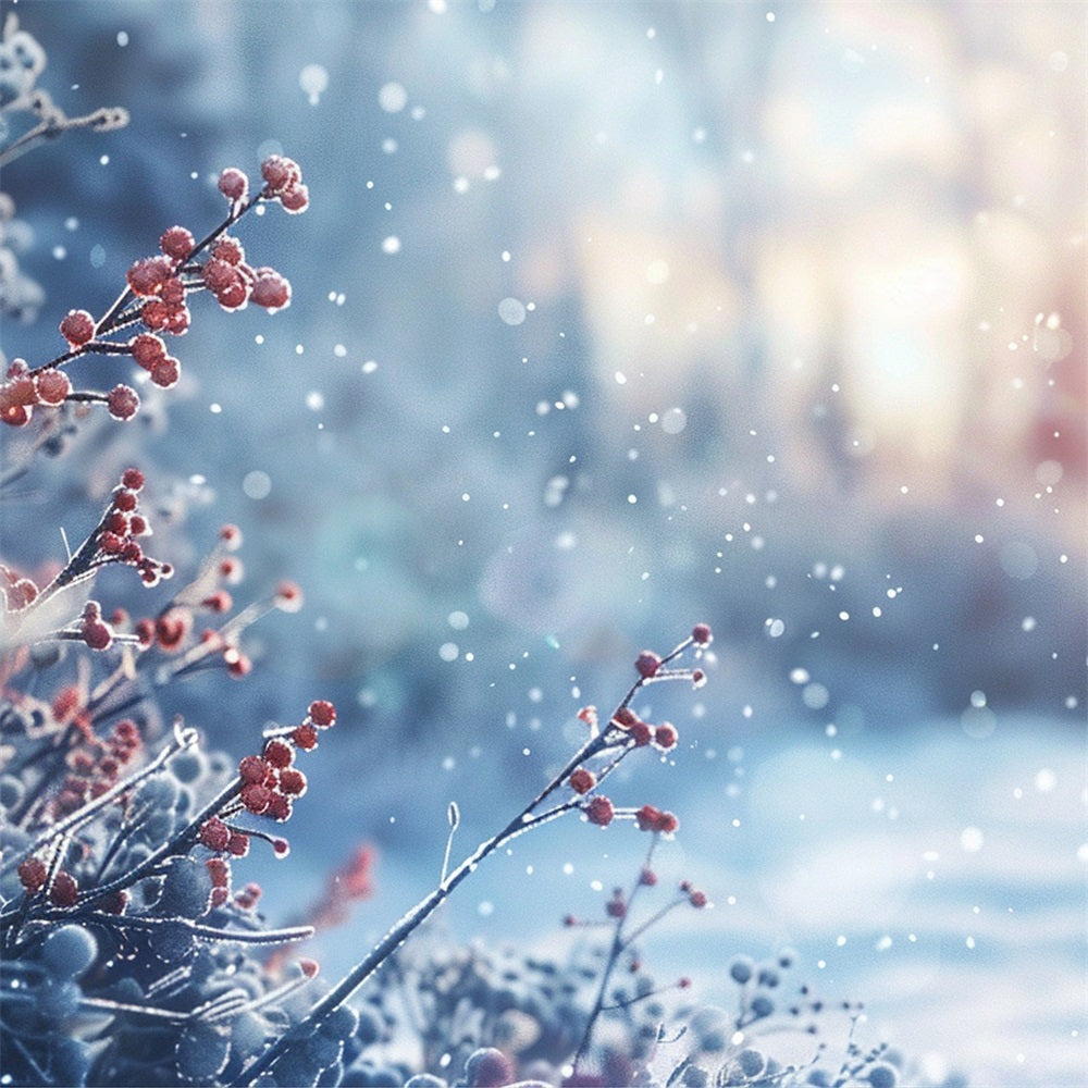 Winter Fotokulissen Frostige Beeren Funkelndes Licht Hintergrund BRP11-31