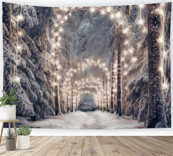 Winter Wonderland Hintergrund Pathway Lights Snow Hintergrund BRP11-469