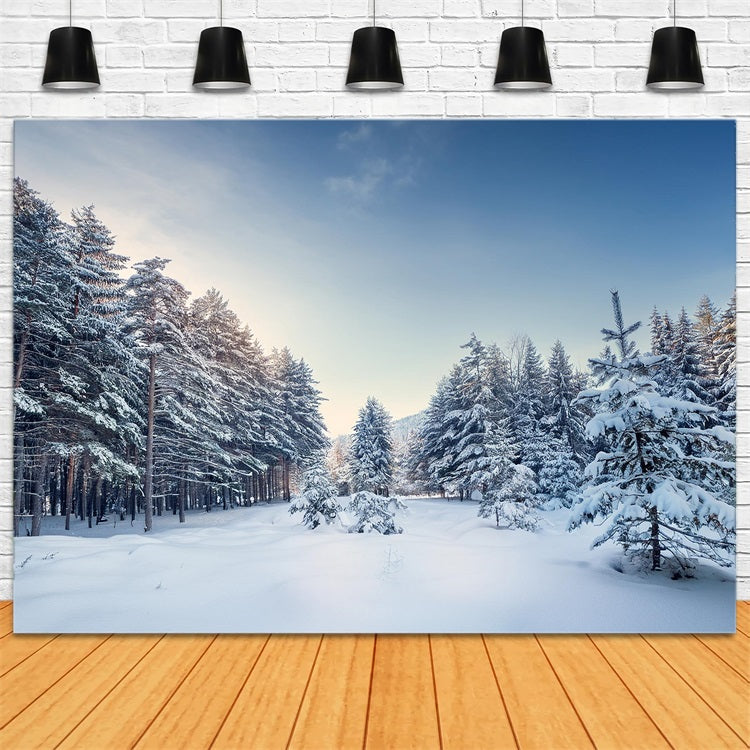 Winter Woods Hintergrund Serene Pine Landscape Hintergrund BRP11-490