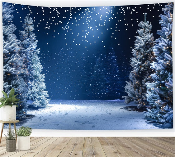 Hintergrund Winter Wonderland Verschneite Nacht Fotografie Hintergrund BRP11-491