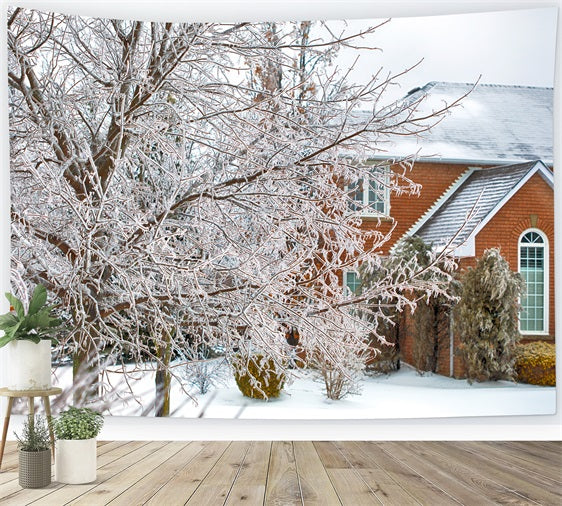 Winter Wonderland Hintergrund Frosted Foliage House Hintergrund BRP11-6