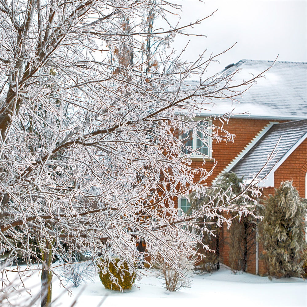 Winter Wonderland Hintergrund Frosted Foliage House Hintergrund BRP11-6