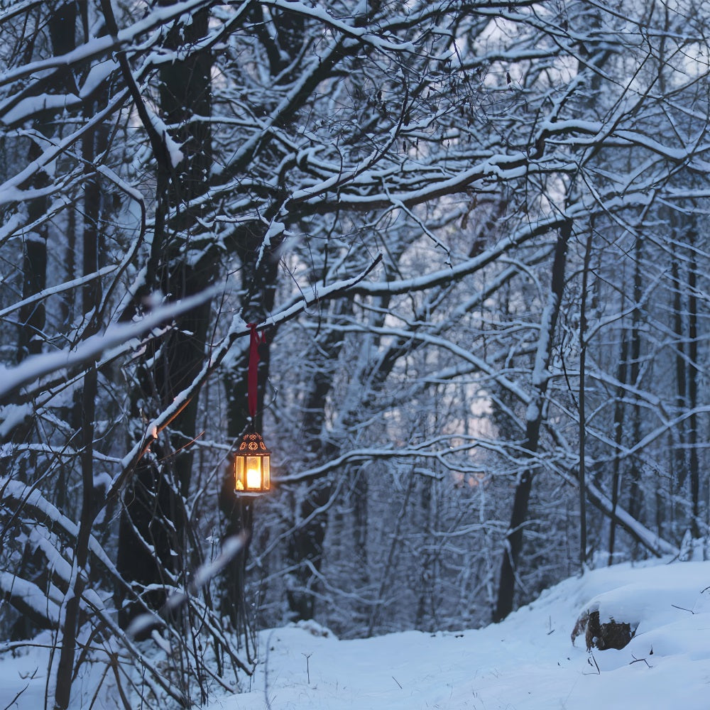 Winter Hintergrund Fotografie Glühende Laterne  Hintergrund BRP11-64