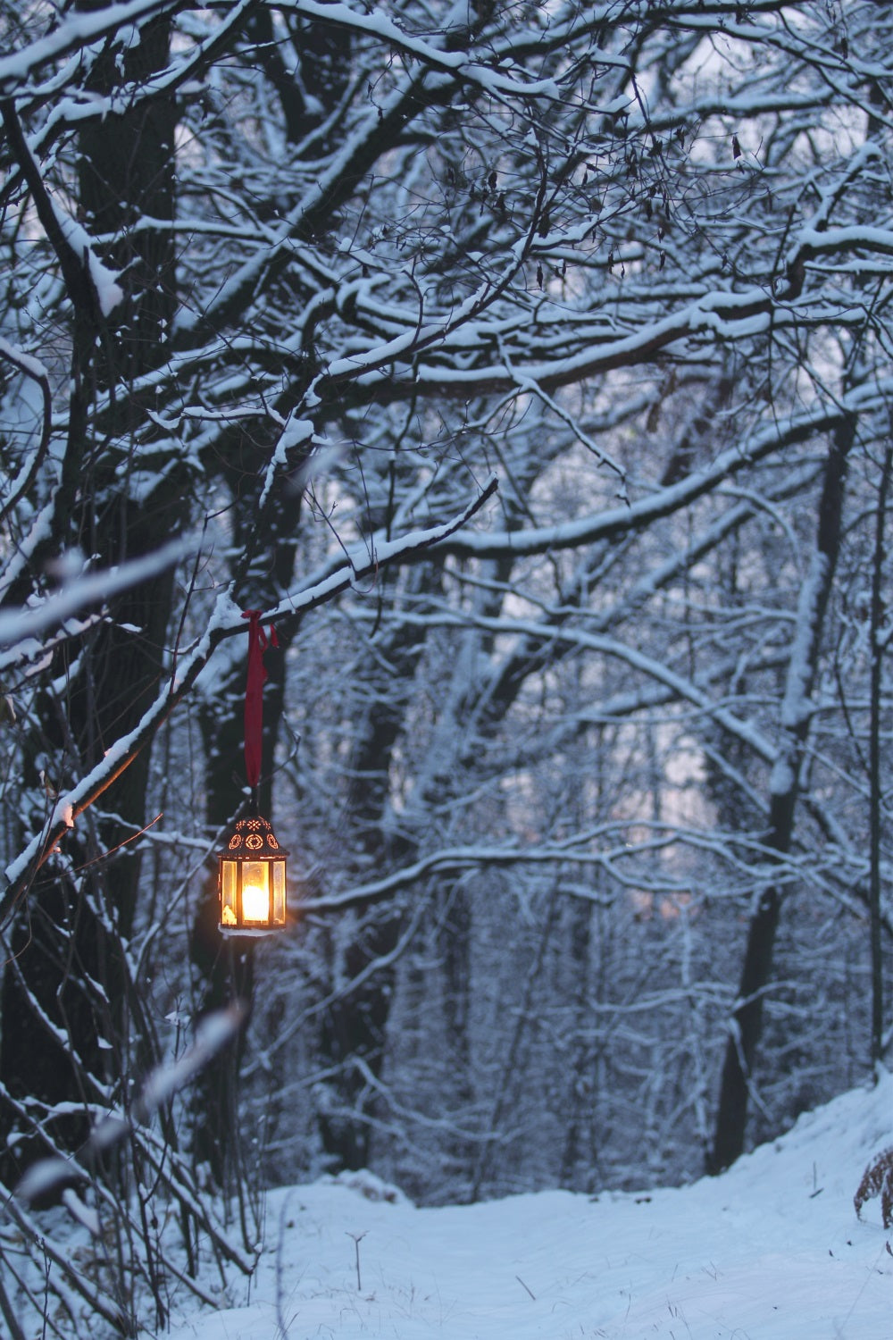 Winter Hintergrund Fotografie Glühende Laterne  Hintergrund BRP11-64