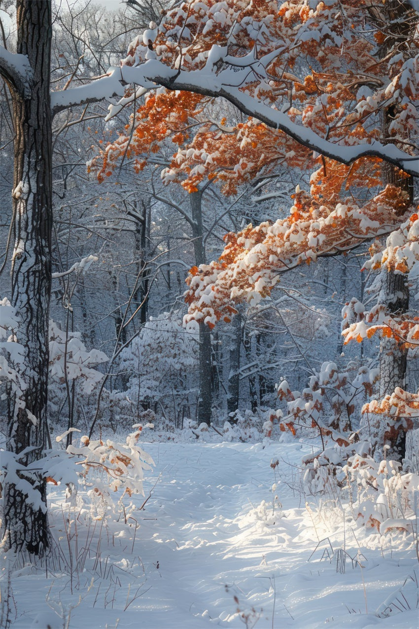 Winterszene Hintergrund Orange Blätter Schnee  Hintergrund BRP11-66