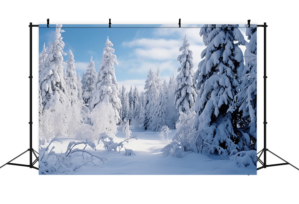 Winterszenen-Hintergrund Gefrorene Kiefern Blauer Himmel Hintergrund BRP11-7